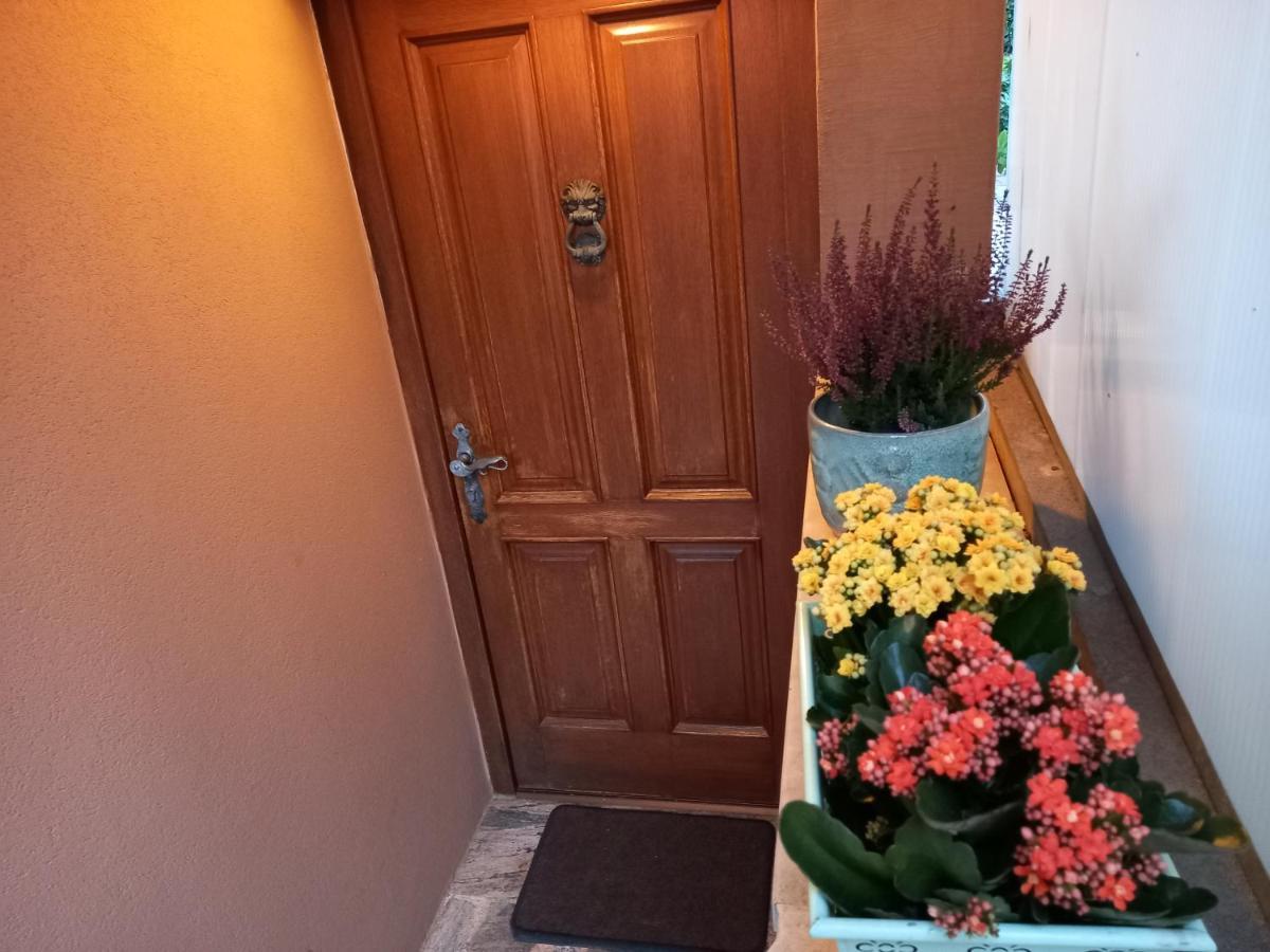 Blue Deer Apartment Umag Exterior photo