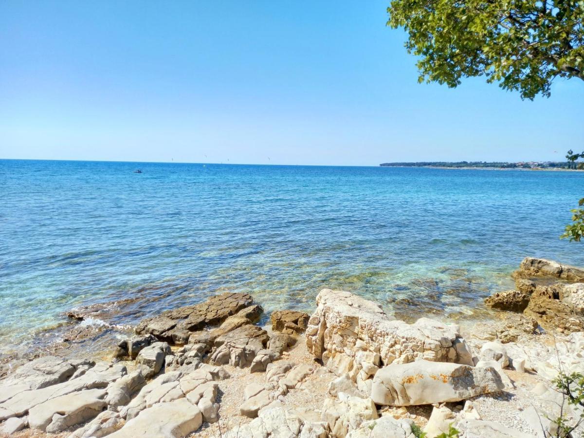 Blue Deer Apartment Umag Exterior photo
